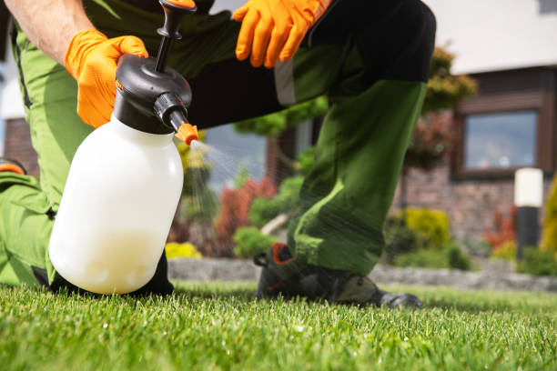 Best Pest Inspection Near Me  in River Rouge, MI