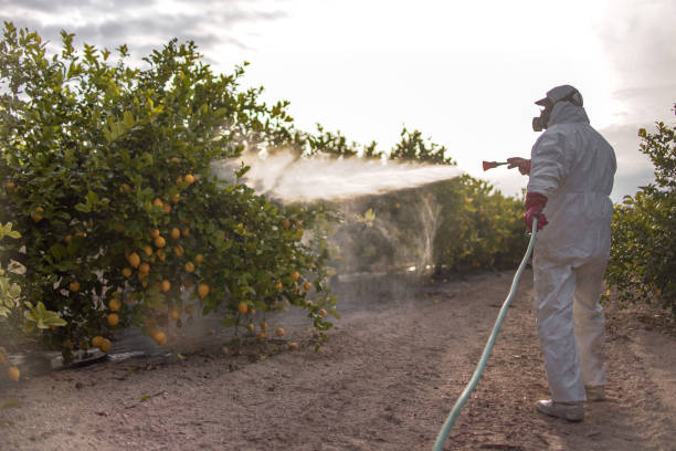 Best Affordable Pest Control Services  in River Rouge, MI