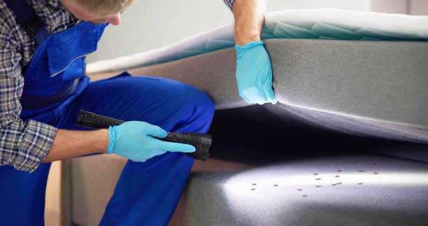 Best Rat Extermination Near Me  in River Rouge, MI