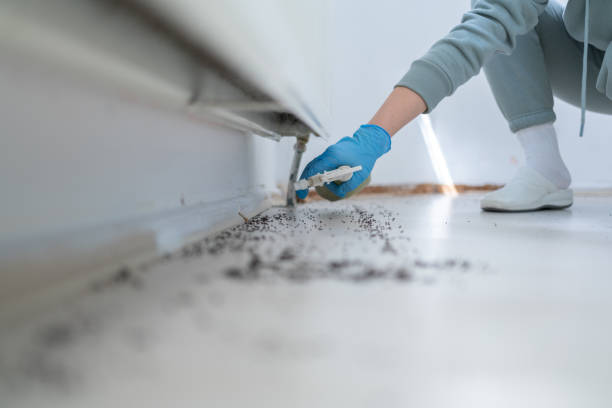 Best Residential Pest Control  in River Rouge, MI